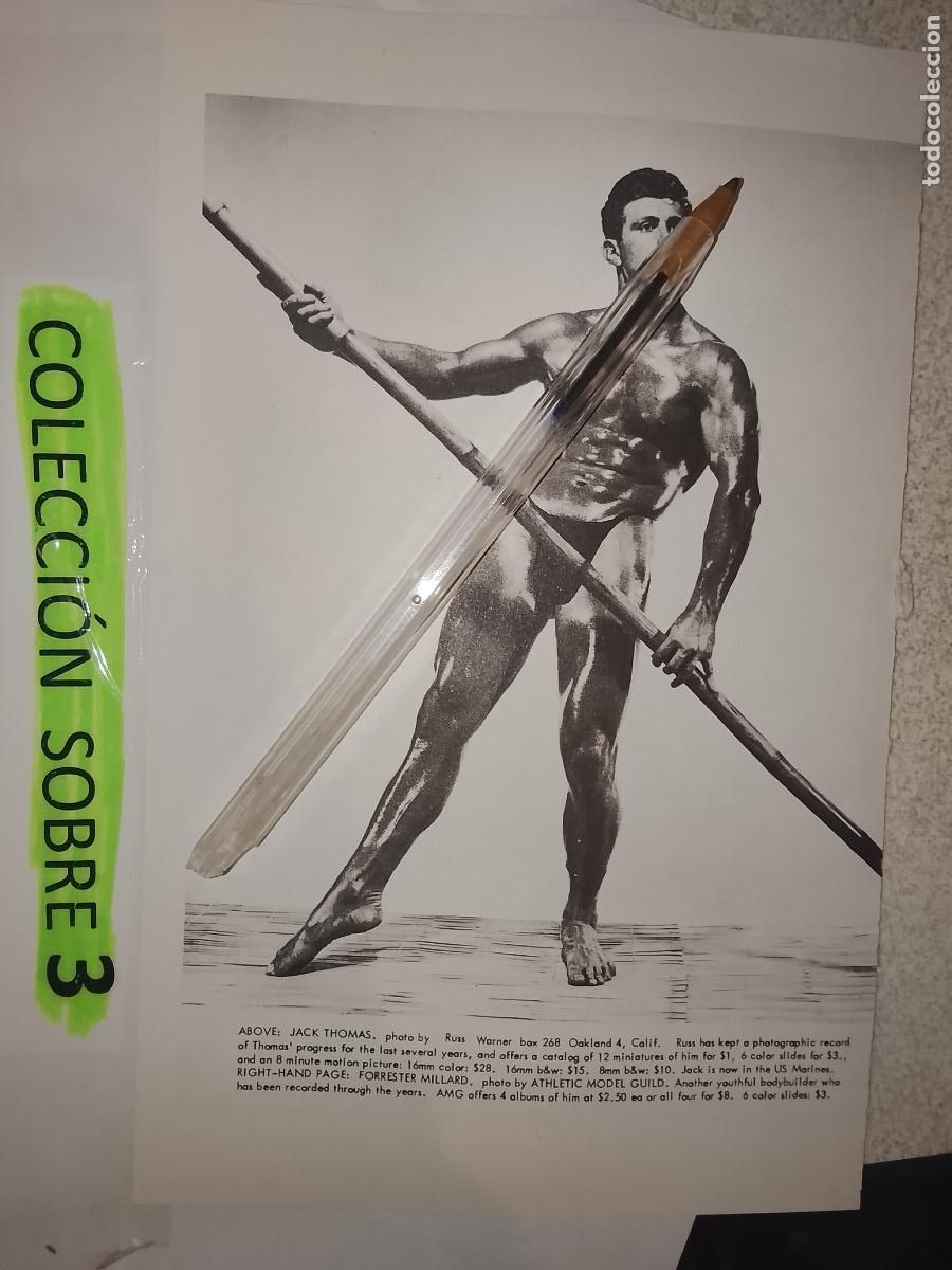 Outros: hoja tematica gay artistica fotografica o comic hombre erotico desnudos culturismo homo sexo EROTICA