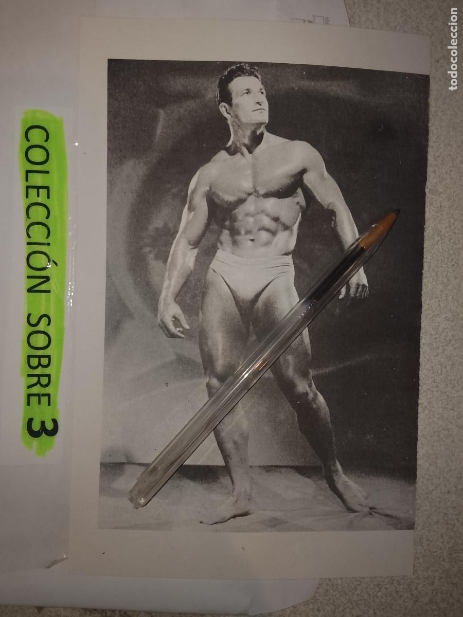 Outros: hoja tematica gay artistica fotografica o comic hombre erotico desnudos culturismo homo sexo EROTICA