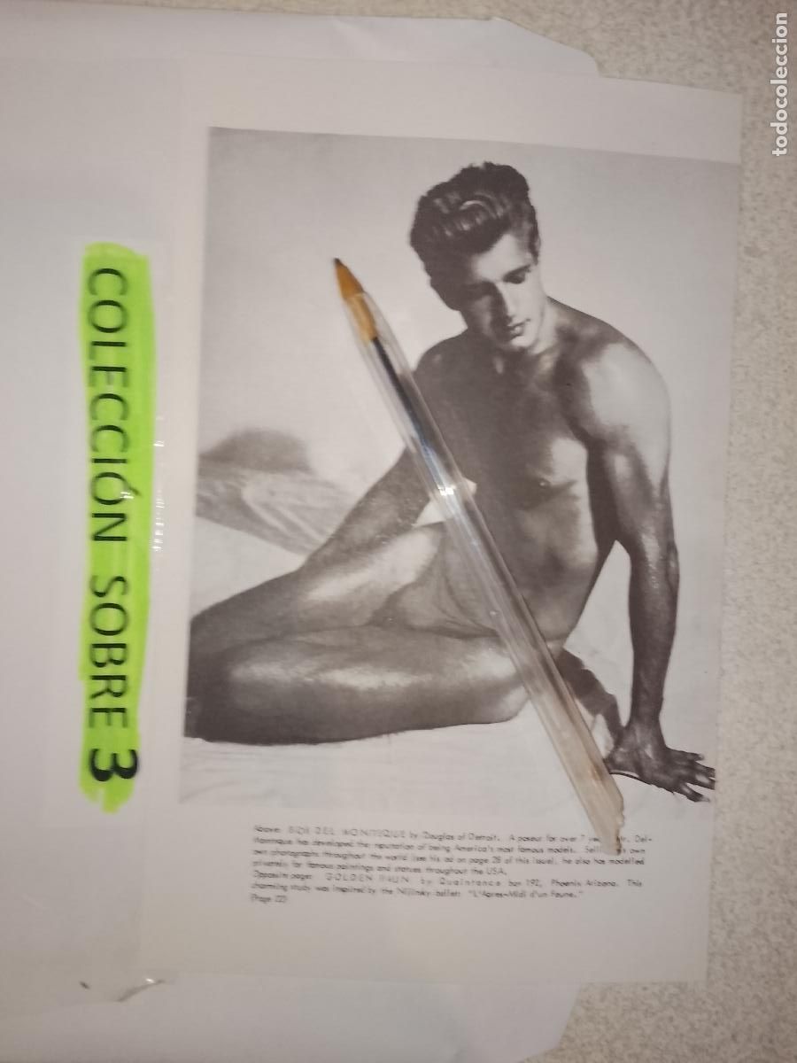 Outros: hoja tematica gay artistica fotografica o comic hombre erotico desnudos culturismo homo sexo EROTICA