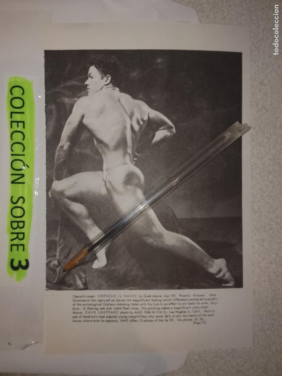 Outros: hoja tematica gay artistica fotografica o comic hombre erotico desnudos culturismo homo sexo EROTICA