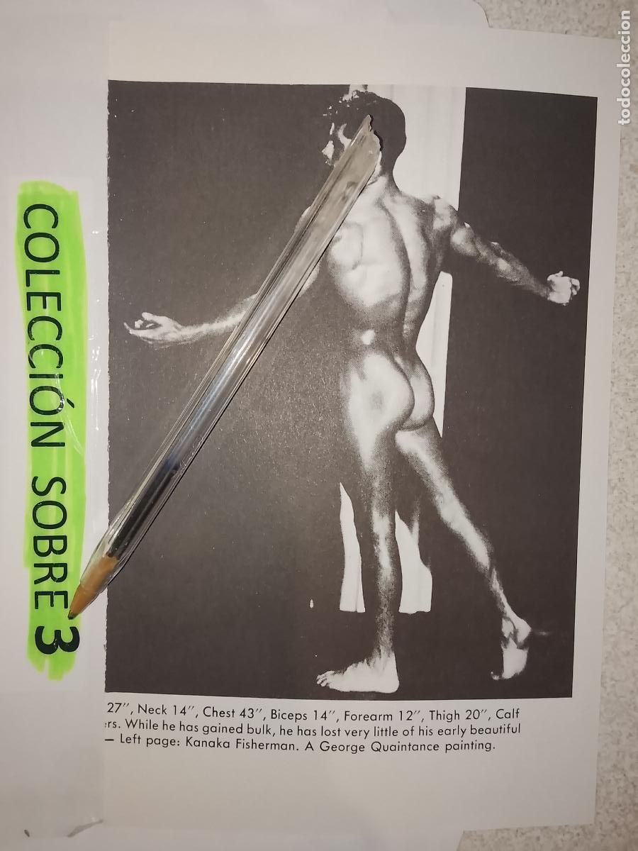 Outros: hoja tematica gay artistica fotografica o comic hombre erotico desnudos culturismo homo sexo EROTICA