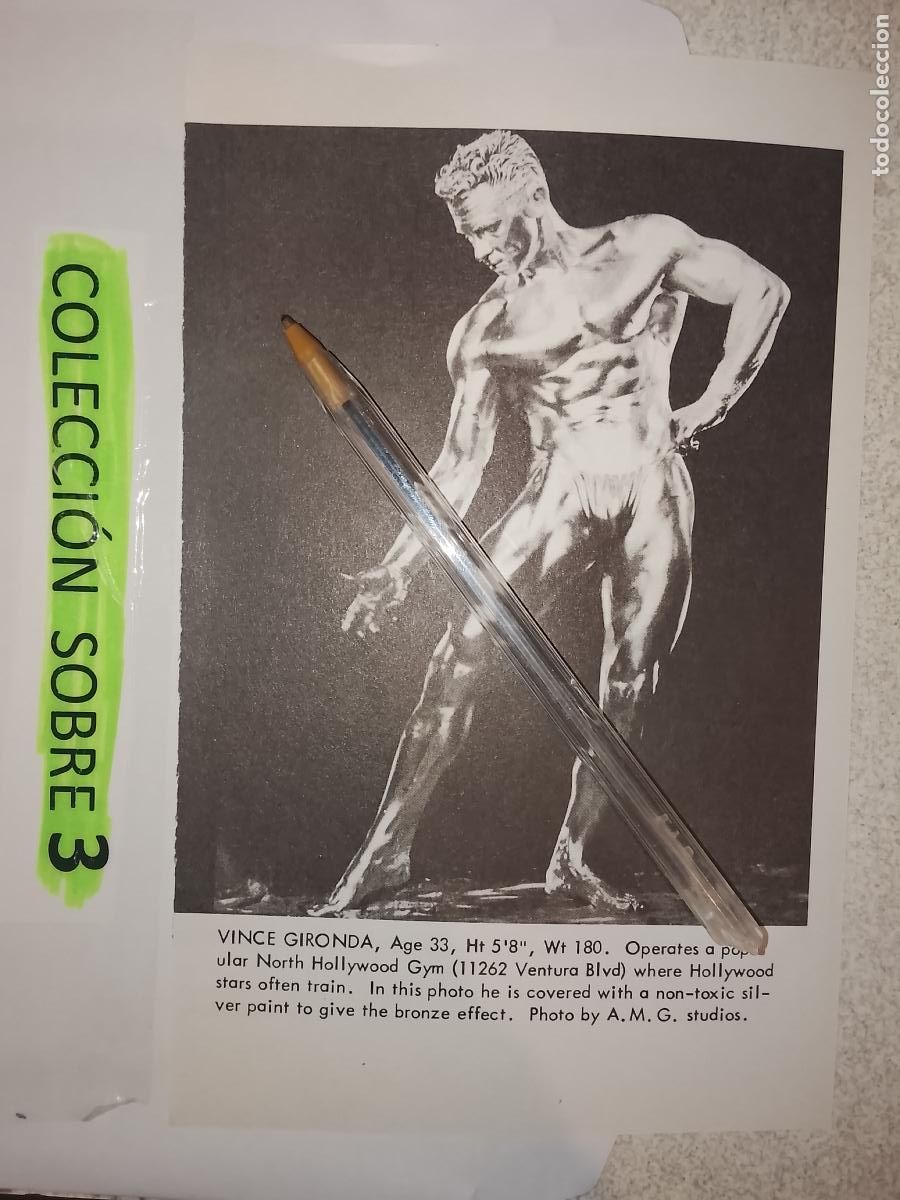 Outros: hoja tematica gay artistica fotografica o comic hombre erotico desnudos culturismo homo sexo EROTICA