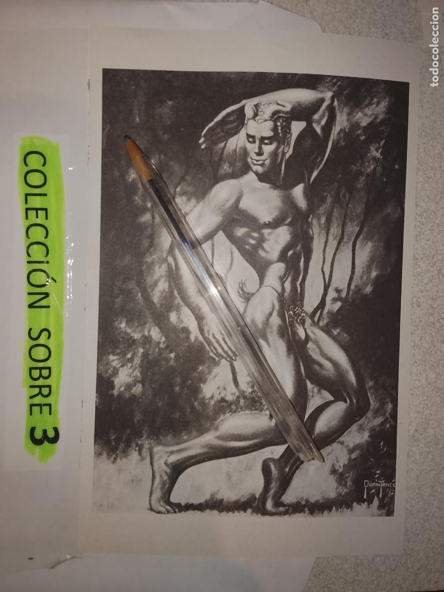 Outros: hoja tematica gay artistica fotografica o comic hombre erotico desnudos culturismo homo sexo EROTICA