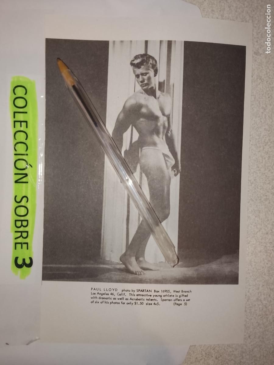 Outros: hoja tematica gay artistica fotografica o comic hombre erotico desnudos culturismo homo sexo EROTICA