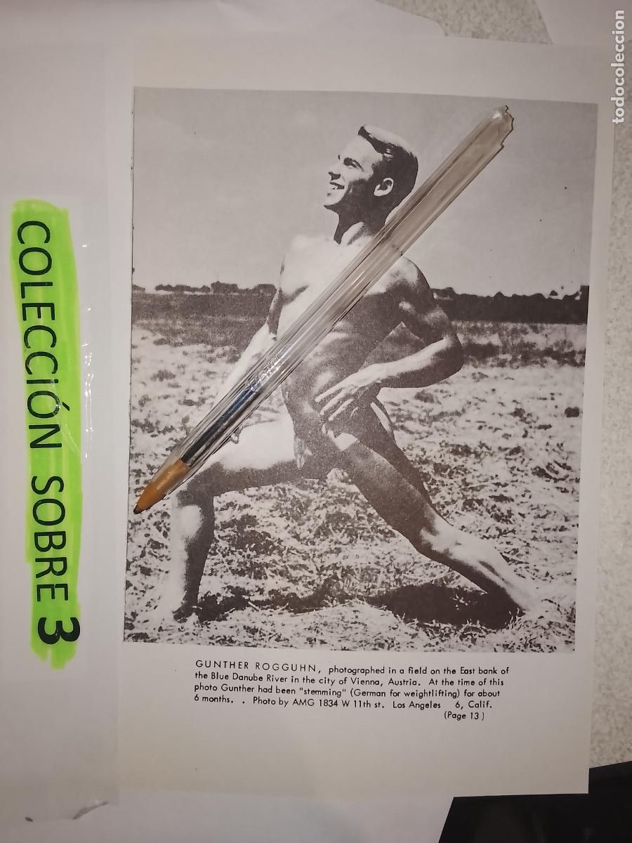Outros: hoja tematica gay artistica fotografica o comic hombre erotico desnudos culturismo homo sexo EROTICA