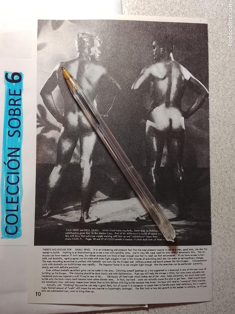 Autres: hoja tematica gay artistica fotografica o comic hombre erotico desnudos culturismo homo sexo EROTICA