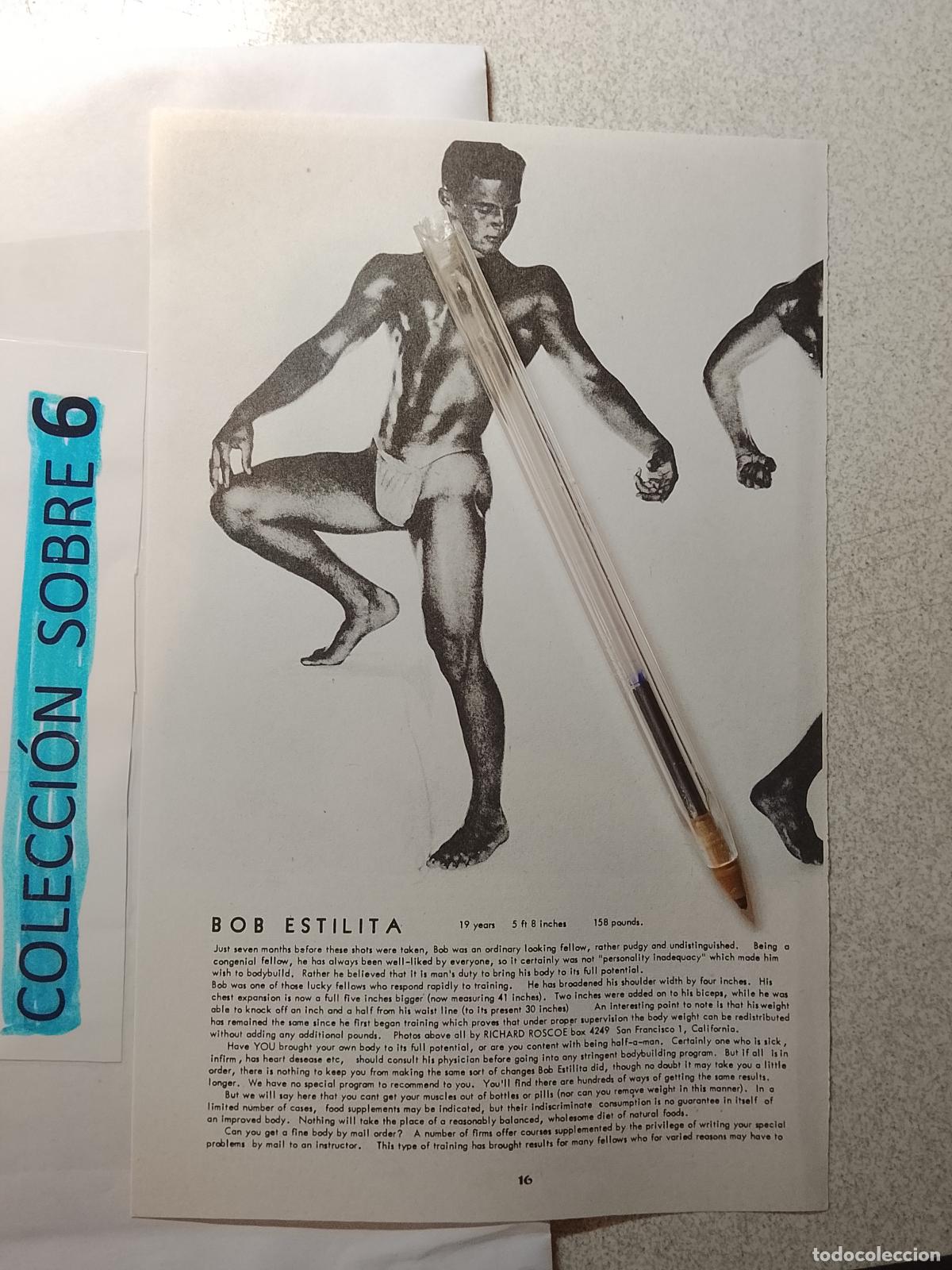 Autres: hoja tematica gay artistica fotografica o comic hombre erotico desnudos culturismo homo sexo EROTICA