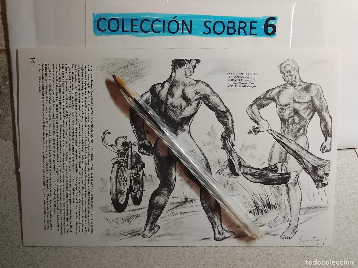 Outros: hoja tematica gay artistica fotografica o comic hombre erotico desnudos culturismo homo sexo EROTICA