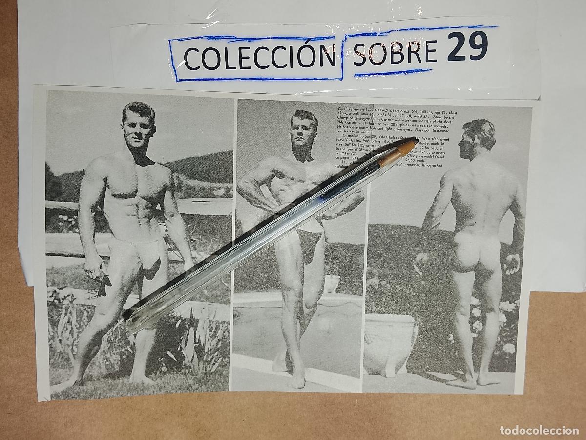Autres: hoja tematica gay artistica fotografica o comic hombre erotico desnudos culturismo homo sexo EROTICA