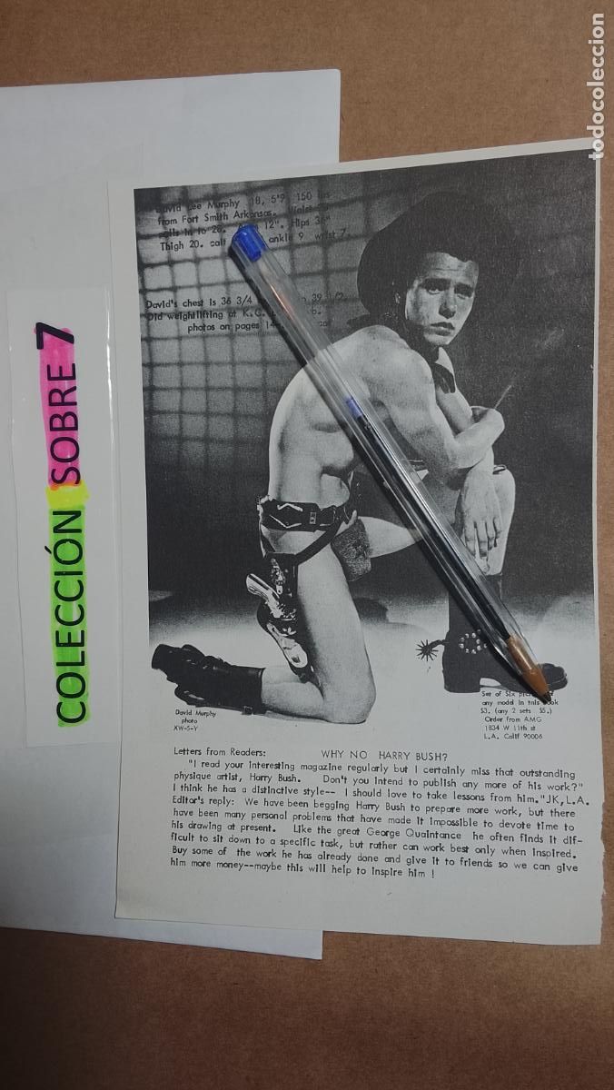 Autres: hoja tematica gay artistica fotografica o comic hombre erotico desnudos culturismo homo sexo EROTICA