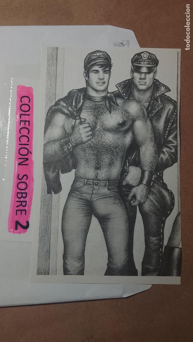 Autres: hoja tematica gay artistica fotografica o comic hombre erotico desnudos culturismo homo sexo EROTICA