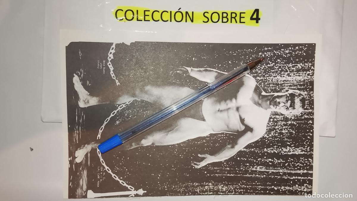 Autres: hoja tematica gay artistica fotografica o comic hombre erotico desnudos culturismo homo sexo EROTICA