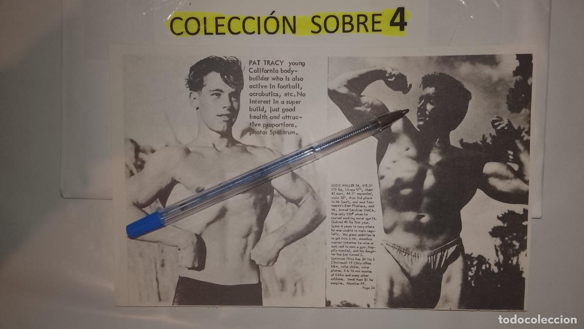 Autres: hoja tematica gay artistica fotografica o comic hombre erotico desnudos culturismo homo sexo EROTICA