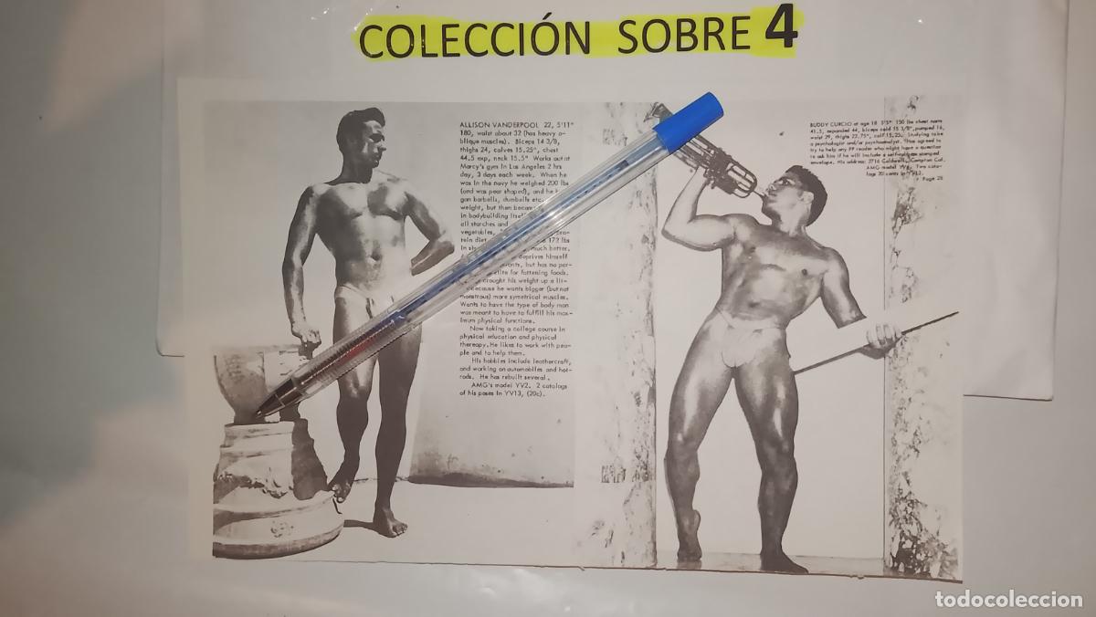 Autres: hoja tematica gay artistica fotografica o comic hombre erotico desnudos culturismo homo sexo EROTICA