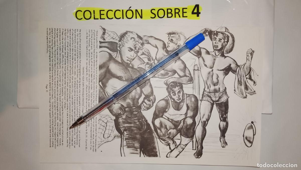 Autres: hoja tematica gay artistica fotografica o comic hombre erotico desnudos culturismo homo sexo EROTICA