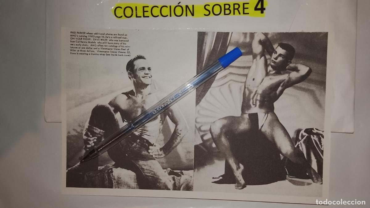 Autres: hoja tematica gay artistica fotografica o comic hombre erotico desnudos culturismo homo sexo EROTICA