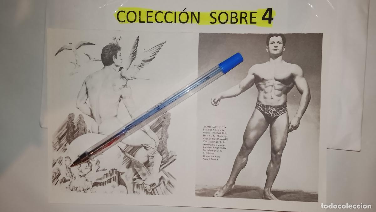 Autres: hoja tematica gay artistica fotografica o comic hombre erotico desnudos culturismo homo sexo EROTICA