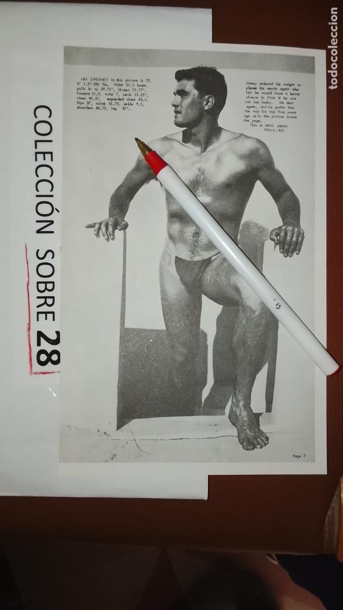 Outros: hoja tematica gay artistica fotografica o comic hombre erotico desnudos culturismo homo sexo EROTICA