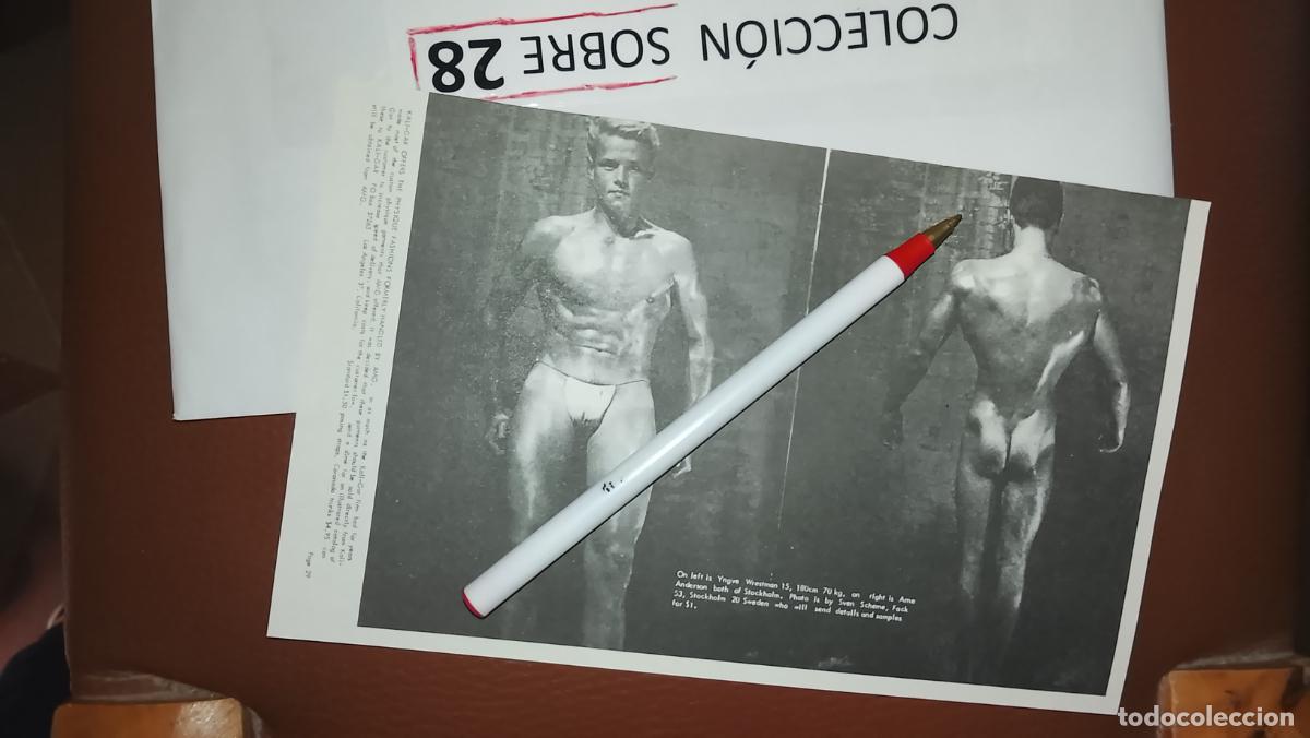Outros: hoja tematica gay artistica fotografica o comic hombre erotico desnudos culturismo homo sexo EROTICA