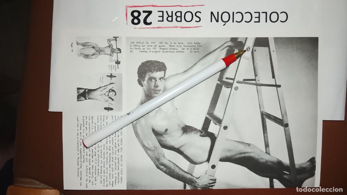 Outros: hoja tematica gay artistica fotografica o comic hombre erotico desnudos culturismo homo sexo EROTICA
