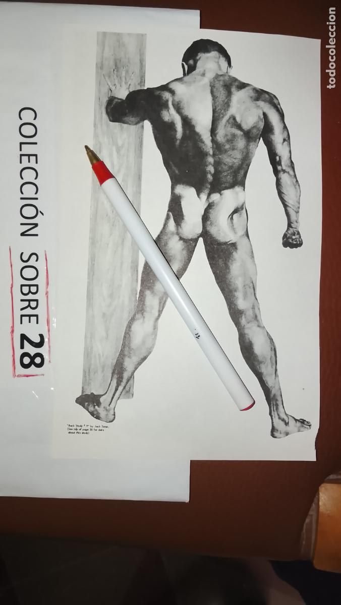 Outros: hoja tematica gay artistica fotografica o comic hombre erotico desnudos culturismo homo sexo EROTICA