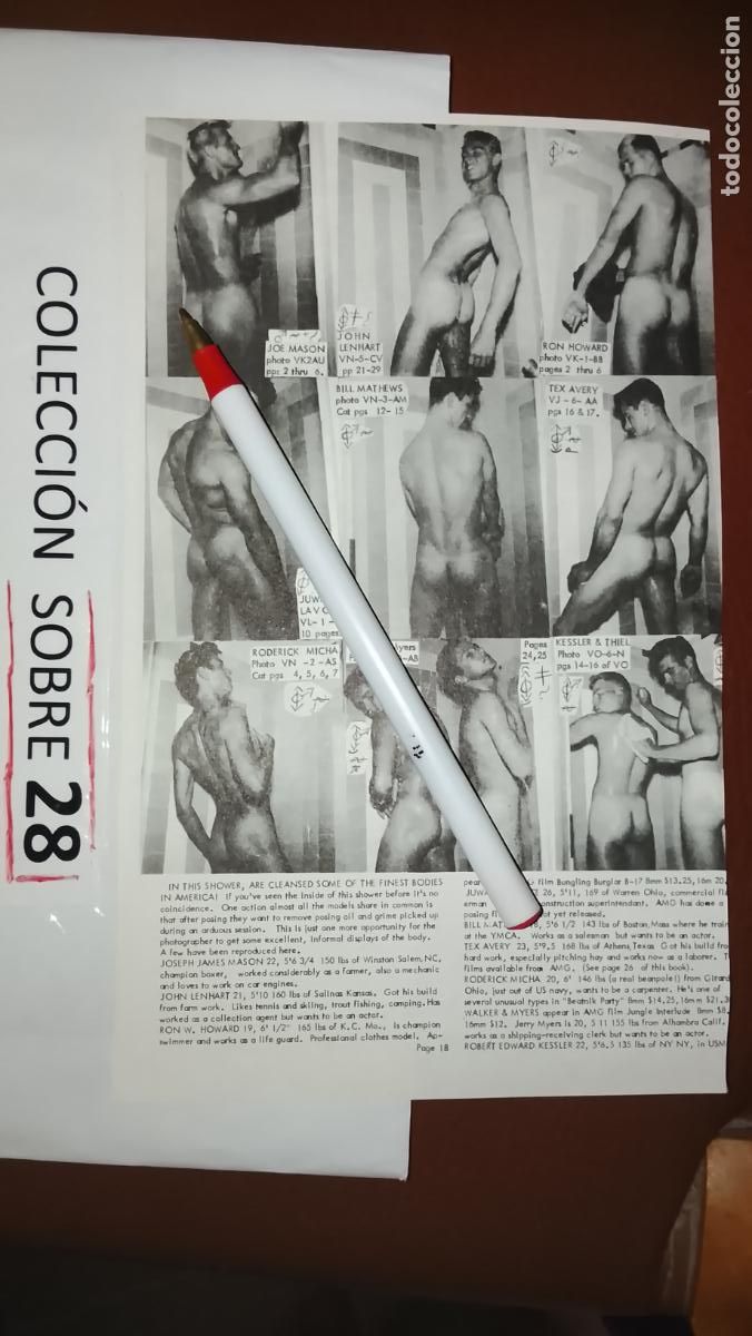 Otros: hoja tematica gay artistica fotografica o comic hombre erotico desnudos culturismo homo sexo EROTICA
