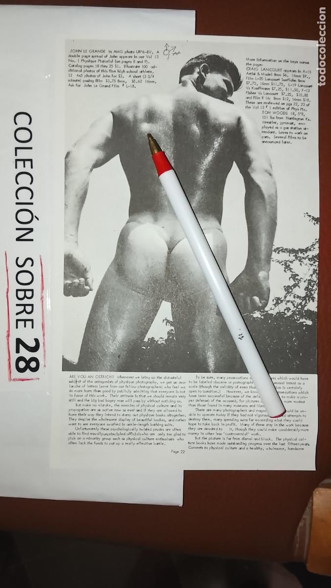Otros: hoja tematica gay artistica fotografica o comic hombre erotico desnudos culturismo homo sexo EROTICA