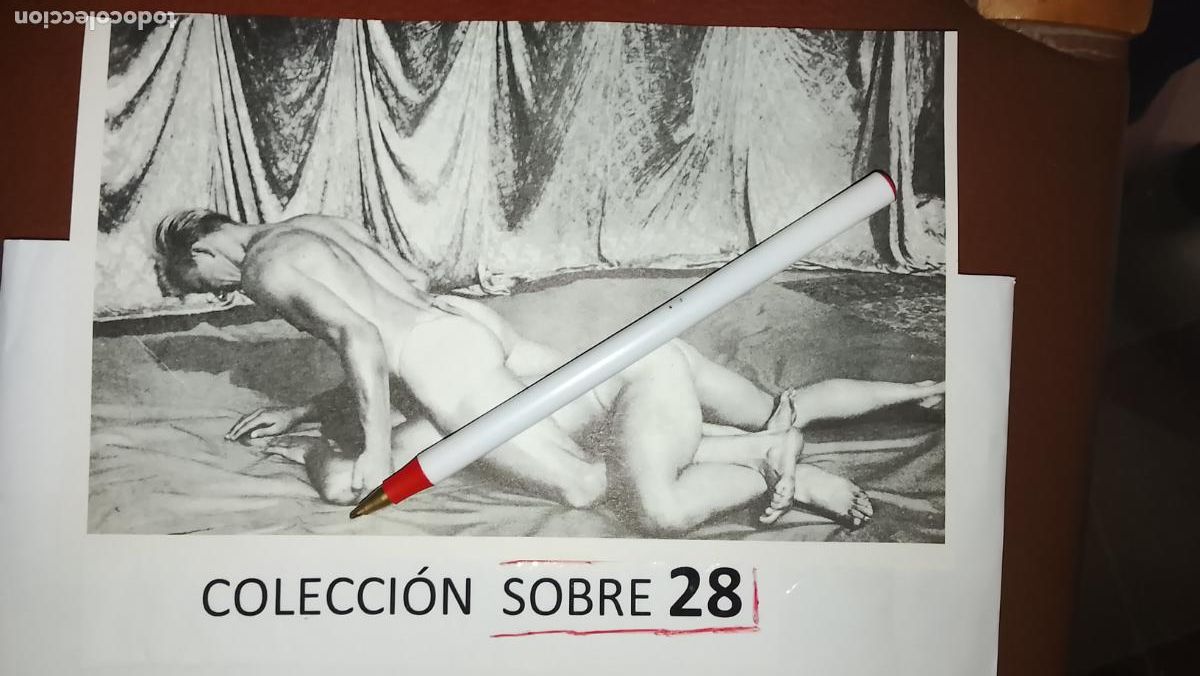 Otros: hoja tematica gay artistica fotografica o comic hombre erotico desnudos culturismo homo sexo EROTICA