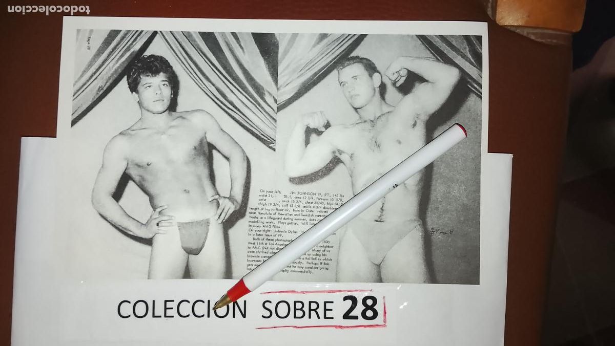 Otros: hoja tematica gay artistica fotografica o comic hombre erotico desnudos culturismo homo sexo EROTICA