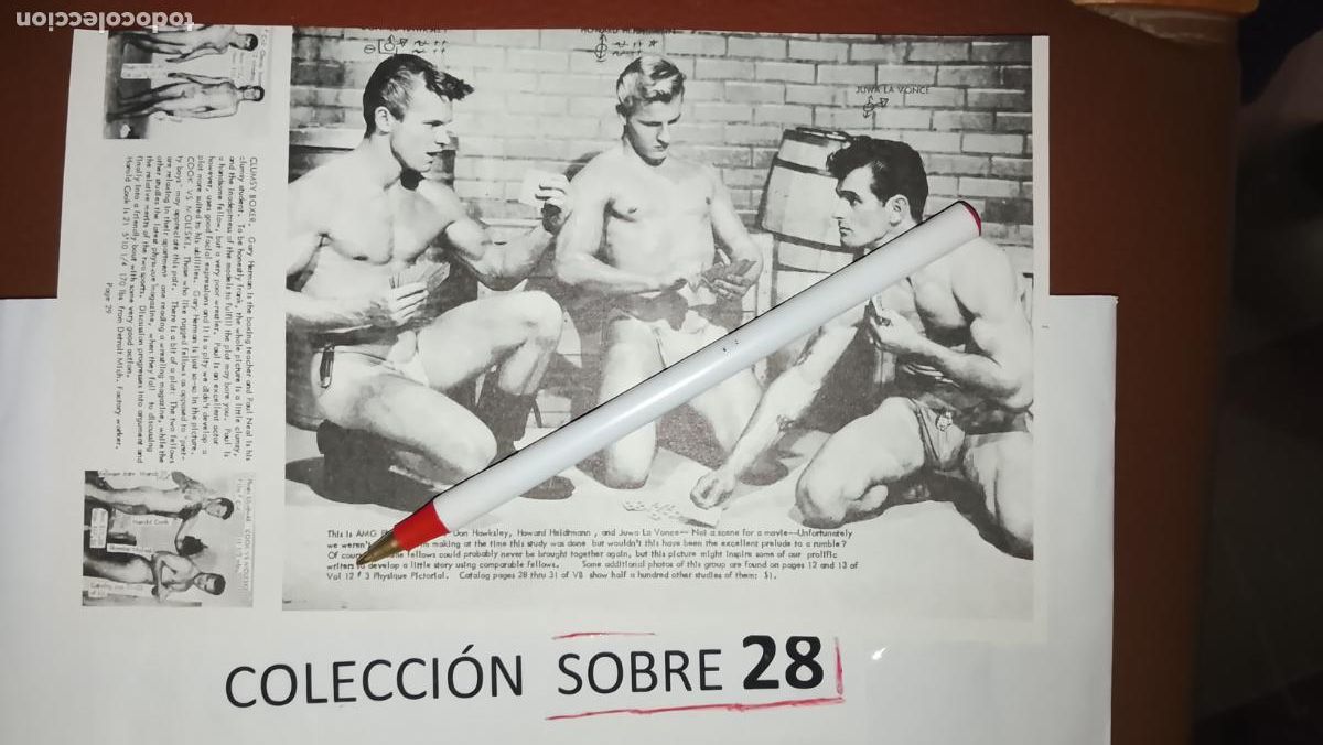 Otros: hoja tematica gay artistica fotografica o comic hombre erotico desnudos culturismo homo sexo EROTICA
