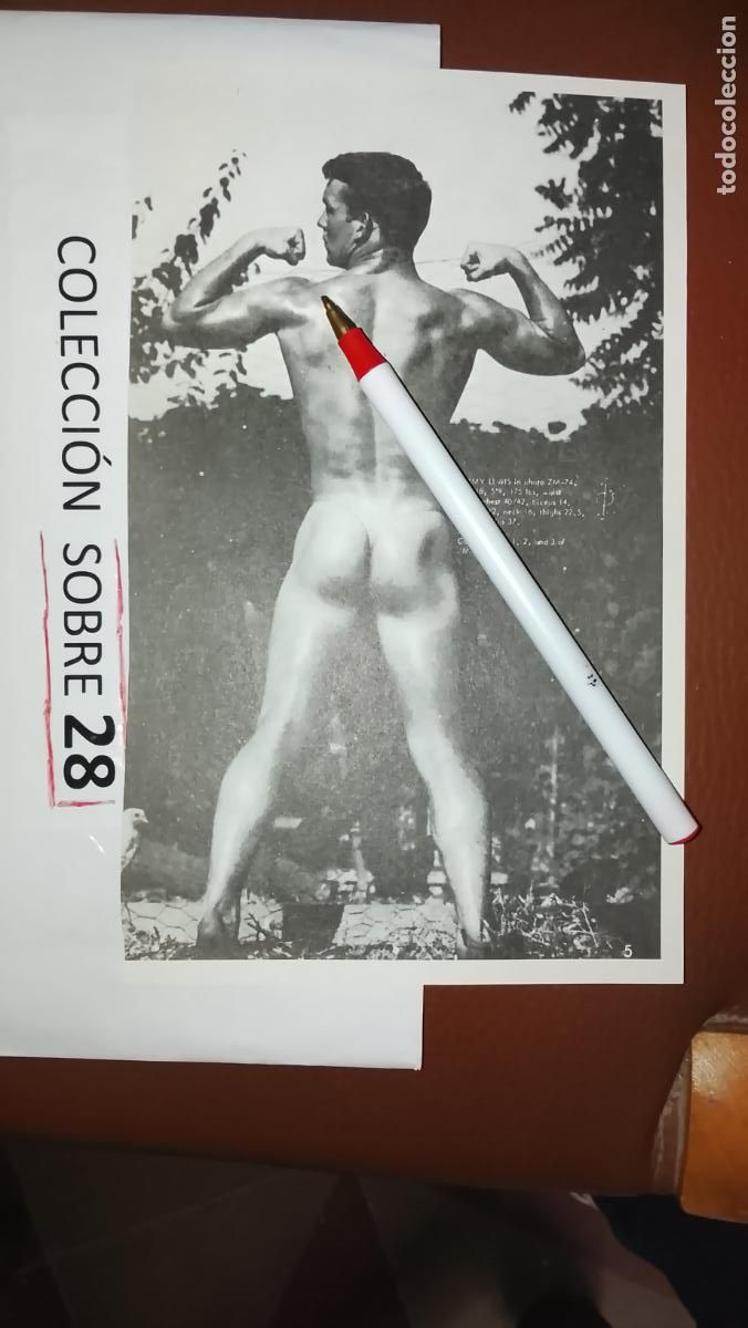 Otros: hoja tematica gay artistica fotografica o comic hombre erotico desnudos culturismo homo sexo EROTICA