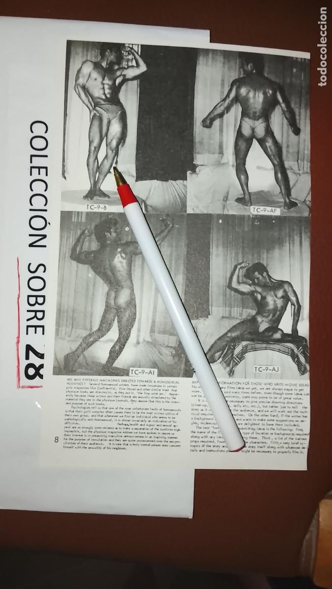 Otros: hoja tematica gay artistica fotografica o comic hombre erotico desnudos culturismo homo sexo EROTICA