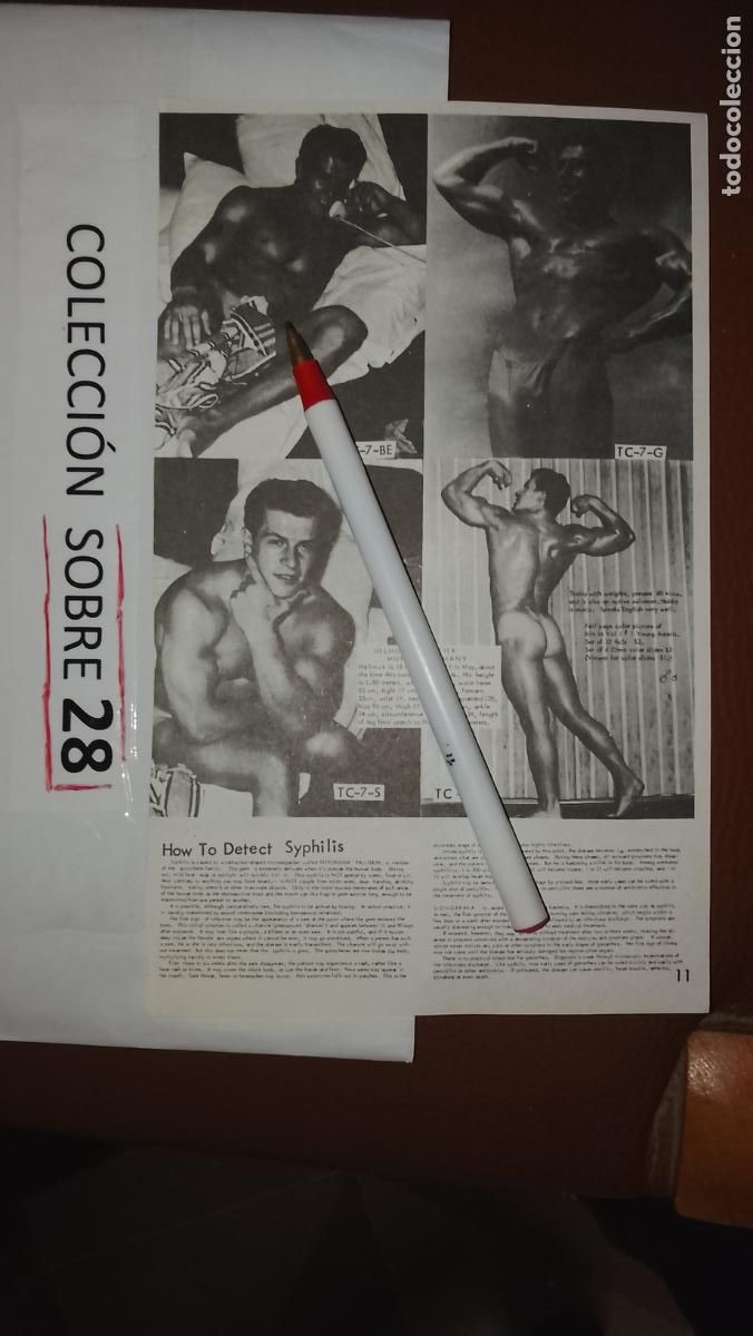 Otros: hoja tematica gay artistica fotografica o comic hombre erotico desnudos culturismo homo sexo EROTICA