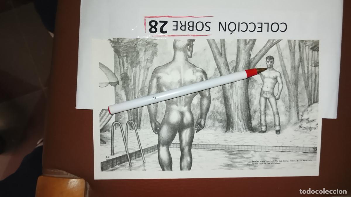 Otros: hoja tematica gay artistica fotografica o comic hombre erotico desnudos culturismo homo sexo EROTICA