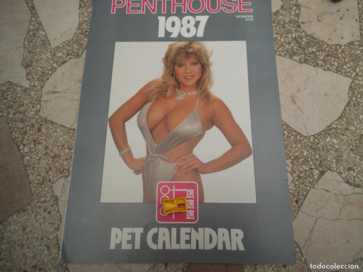 Andere Artikel: calendario penthouse 12 fotos de chicas ,26x36, 1987, en ingles