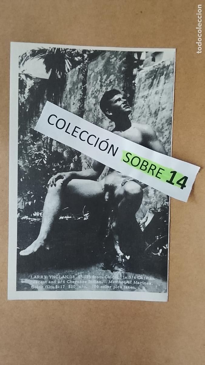Outros: hoja tematica gay artistica fotografica o comic hombre erotico desnudos culturismo homo sexo EROTICA