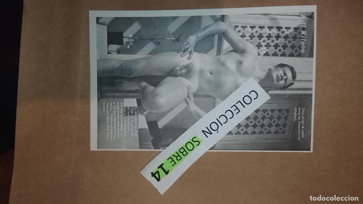 Otros: hoja tematica gay artistica fotografica o comic hombre erotico desnudos culturismo homo sexo EROTICA