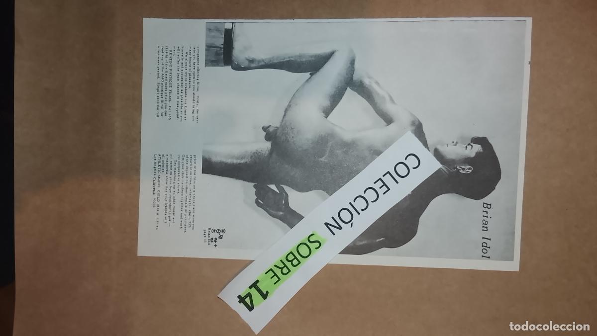 Otros: hoja tematica gay artistica fotografica o comic hombre erotico desnudos culturismo homo sexo EROTICA
