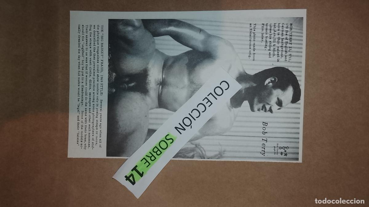 Otros: hoja tematica gay artistica fotografica o comic hombre erotico desnudos culturismo homo sexo EROTICA