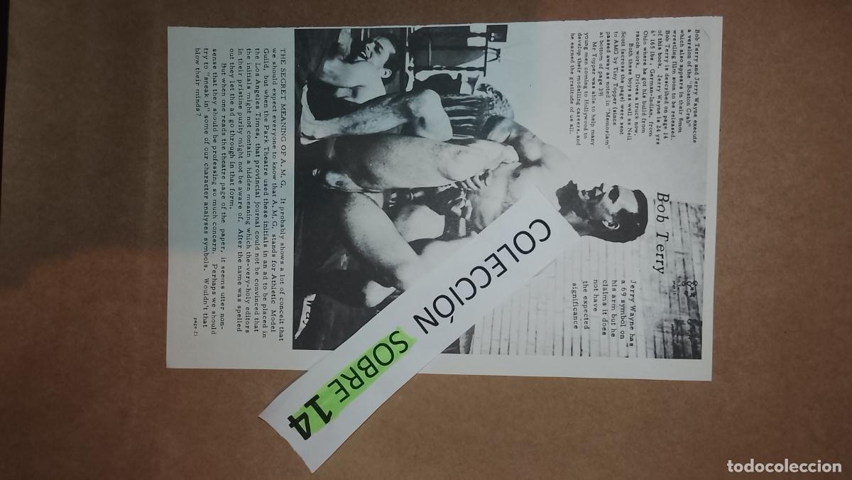 Otros: hoja tematica gay artistica fotografica o comic hombre erotico desnudos culturismo homo sexo EROTICA