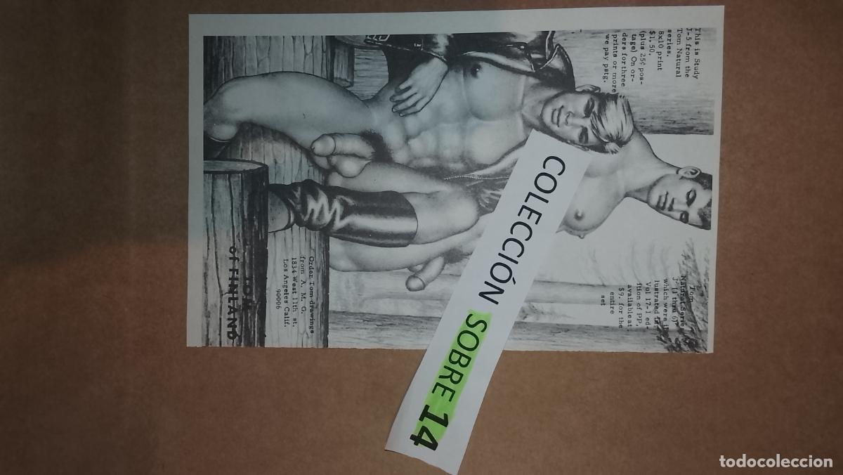 Otros: hoja tematica gay artistica fotografica o comic hombre erotico desnudos culturismo homo sexo EROTICA