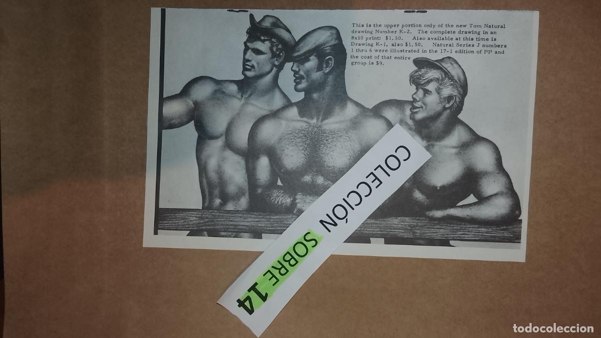 Otros: hoja tematica gay artistica fotografica o comic hombre erotico desnudos culturismo homo sexo EROTICA