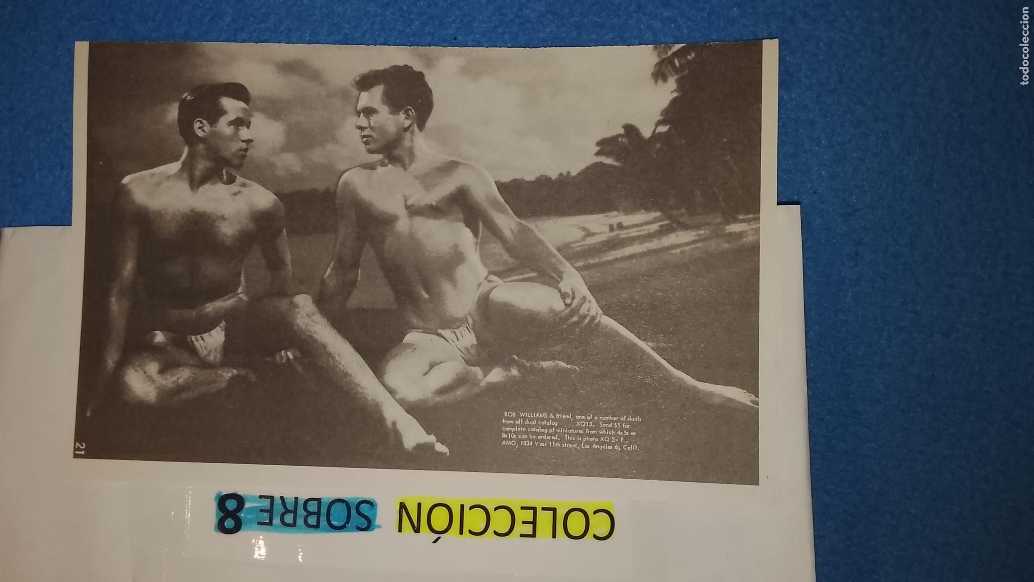 Altri: hoja tematica gay artistica fotografica o comic hombre erotico desnudos culturismo homo sexo EROTICA