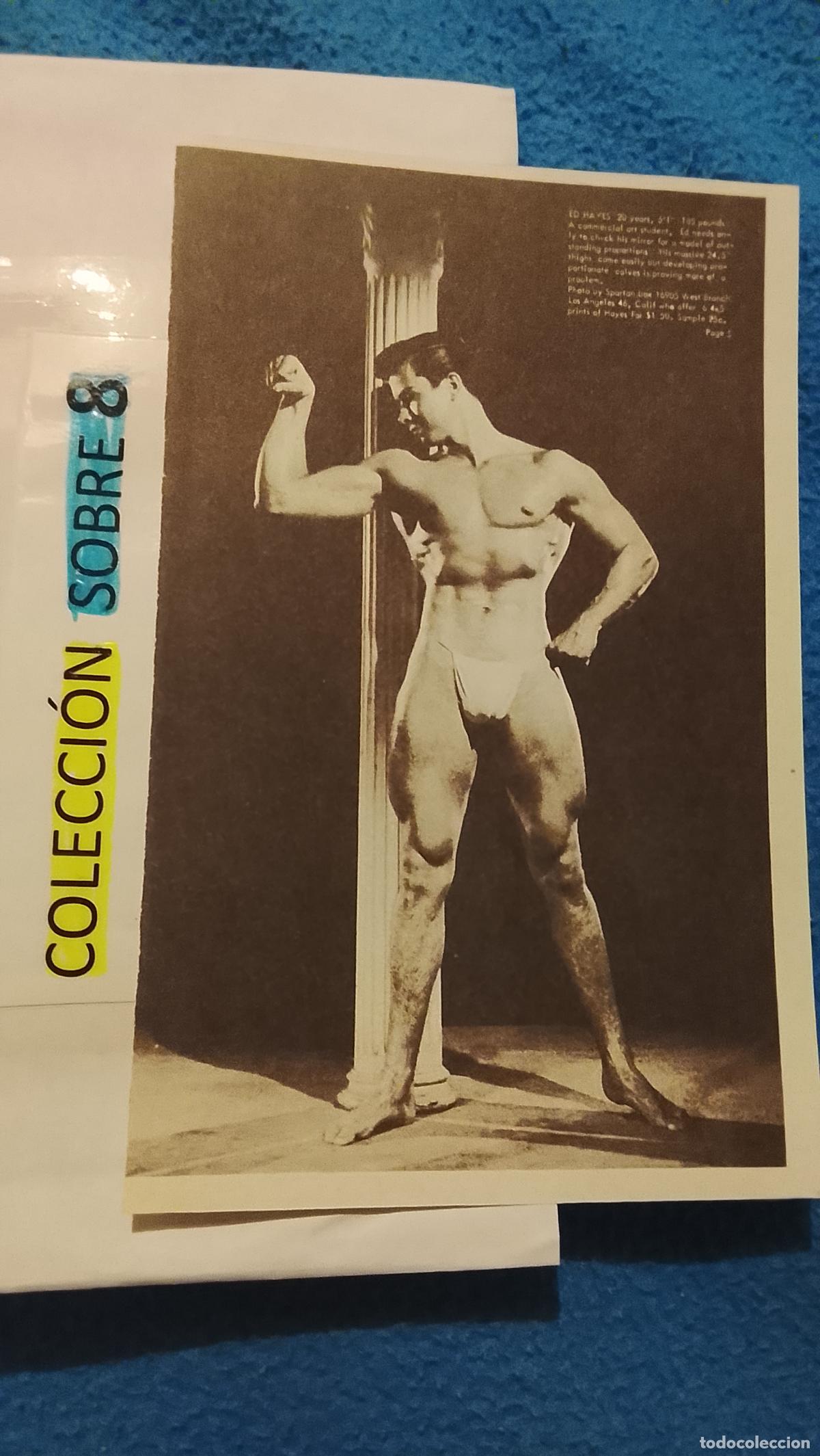 Autres: hoja tematica gay artistica fotografica o comic hombre erotico desnudos culturismo homo sexo EROTICA