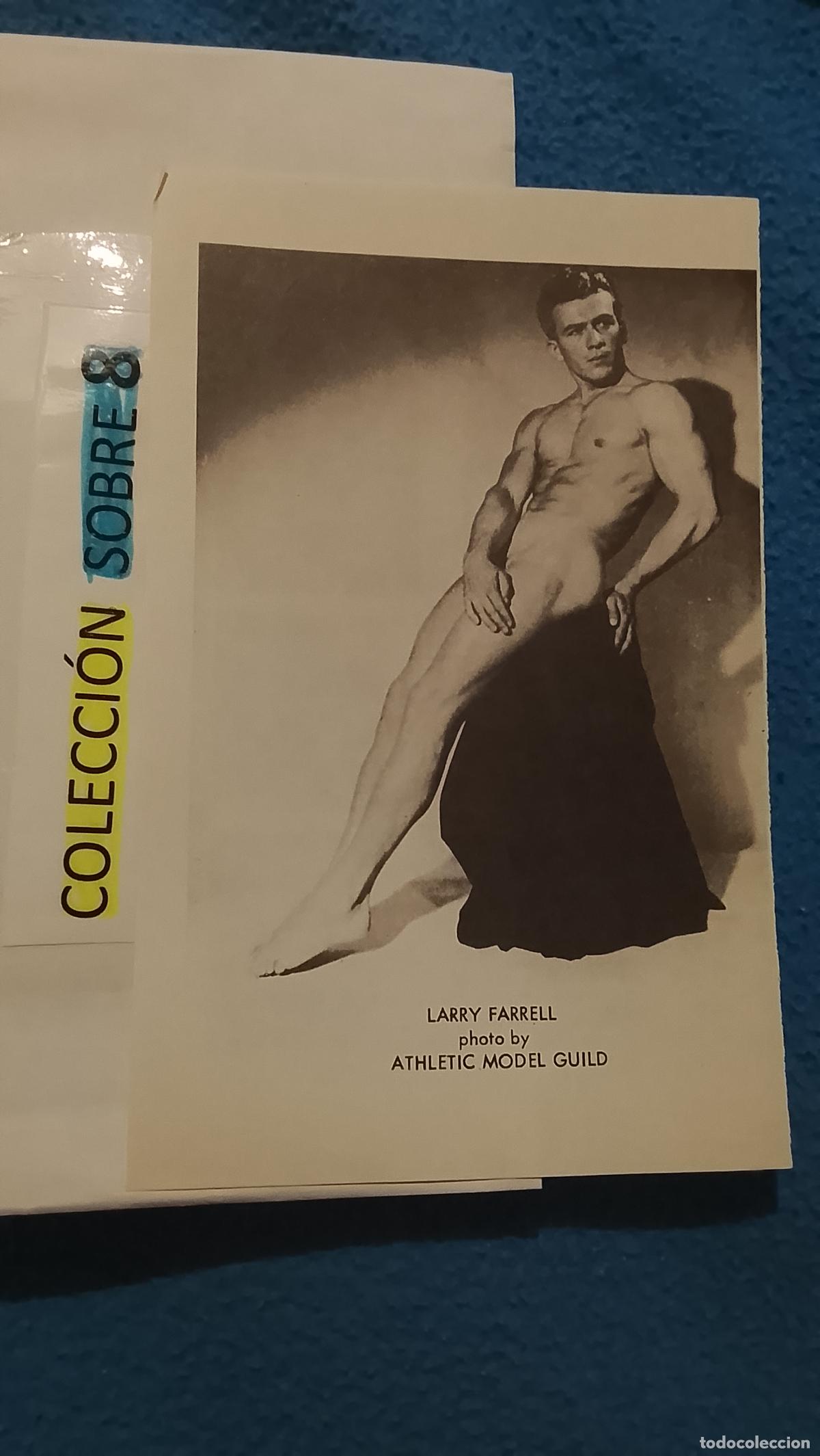Andere Artikel: hoja tematica gay artistica fotografica o comic hombre erotico desnudos culturismo homo sexo EROTICA