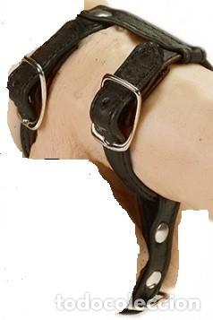 Others for Adults: Correa Masculino Ajustable de Cuero Negro con Hebillas