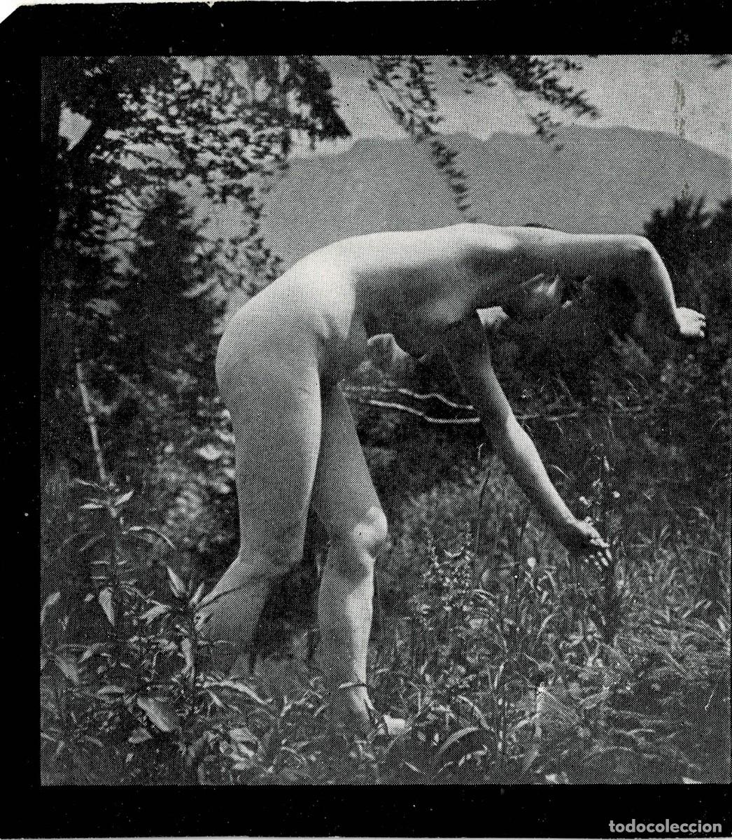 Others for Adults: FOTOGRAFIA ESTEROSCOPICA EROTICA DE MUJER EN BOSQUE. P-ESTEROTICA-013