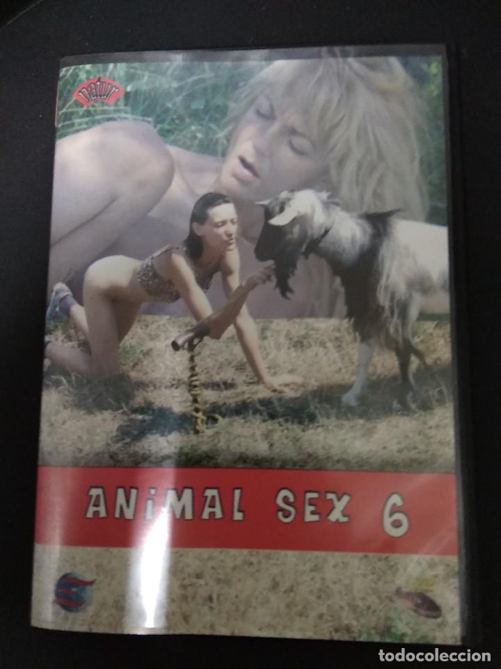 animal sex n6 Kaufen Filme für Erwachsene in todocoleccion 