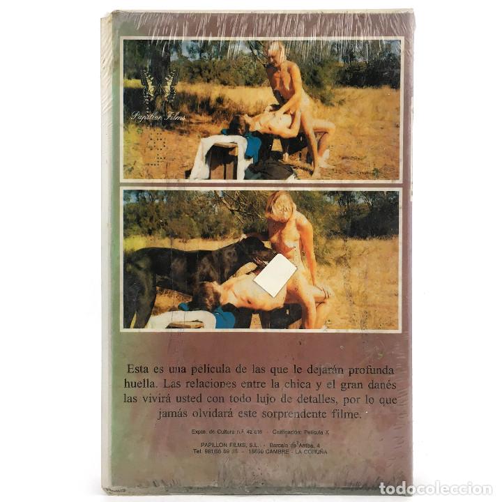 gran danes precintada con manchas pelicula porn - Acquista Film ...