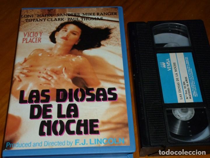 Filme: LAS DIOSAS DE LA NOCHE . VICIO Y PLACER - LONU HAIKU SANDERS, FRED LINCOLN COMADREJA PODOWSKY - VHS